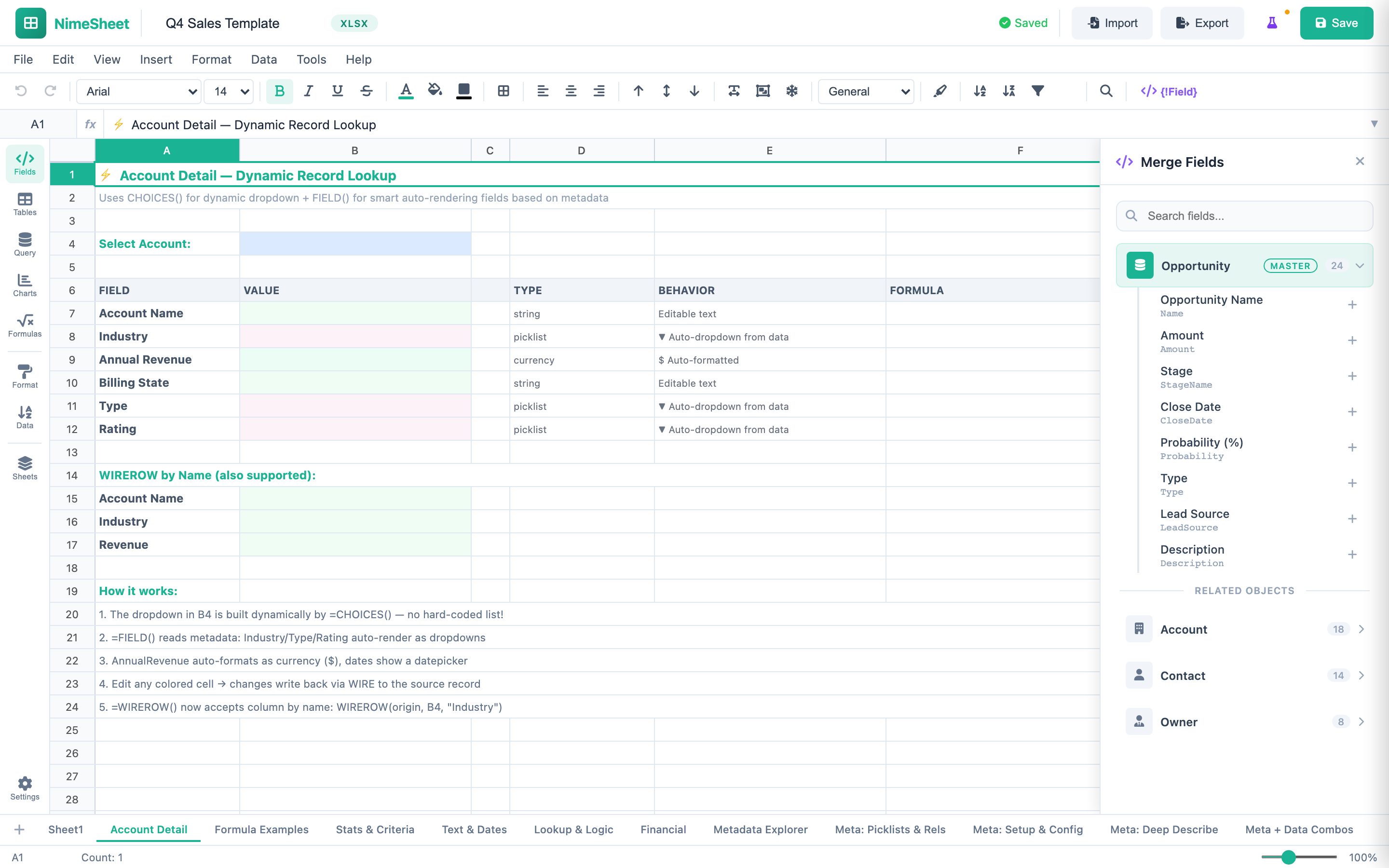 NimeSheet Metadata Explorer with object fields, picklist values, and relationships